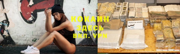 стаф Киренск