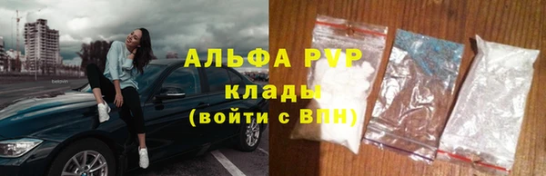 стаф Киренск