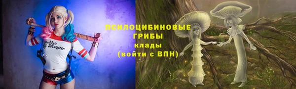 стаф Киренск