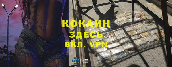 стаф Киренск
