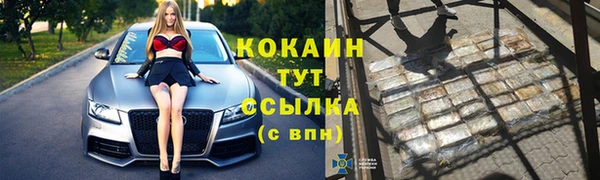 стаф Киренск