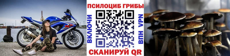 Купить закладки  Киржач  Галлюциногенные грибы Psilocybe 